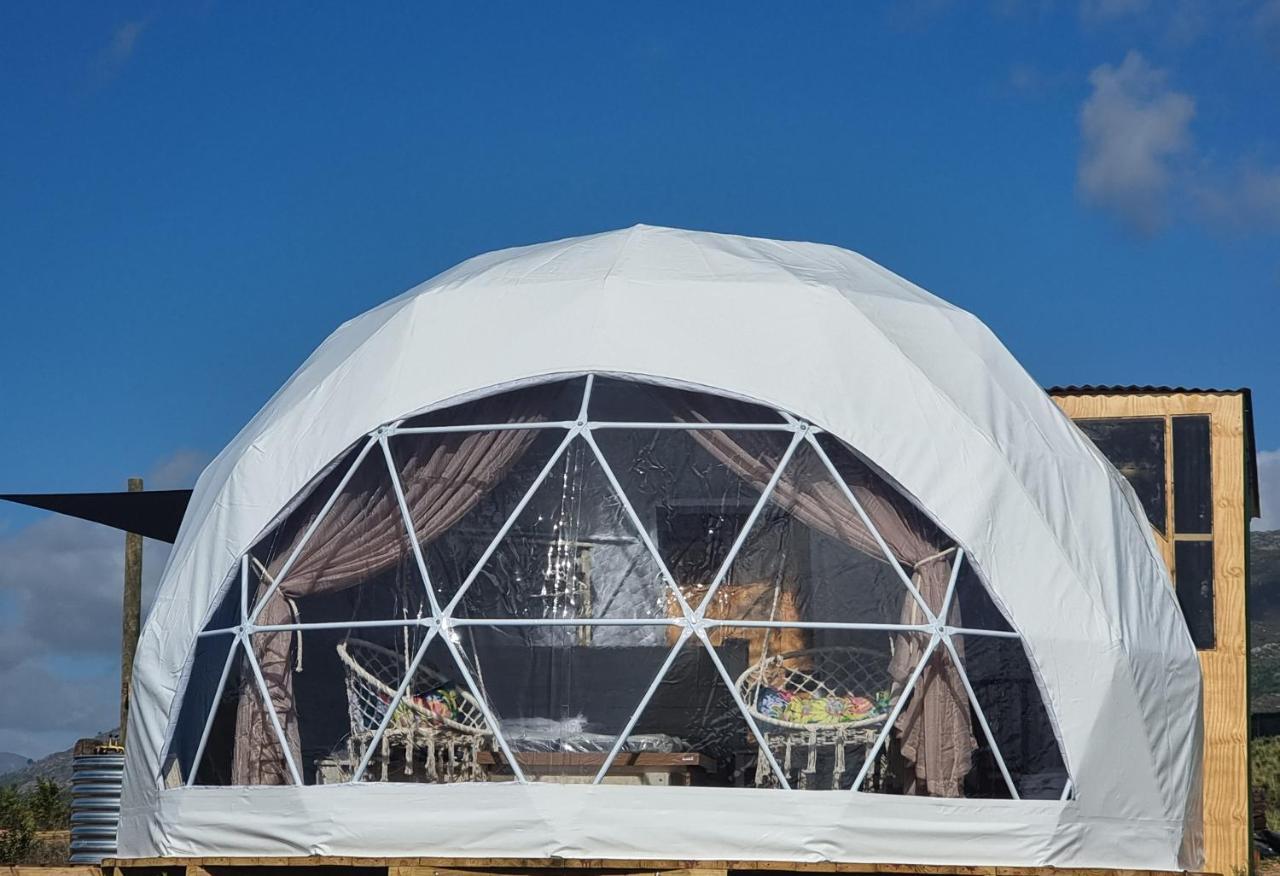 فندق Pom Gratz - Ecodomes Hartebeesrivier المظهر الخارجي الصورة