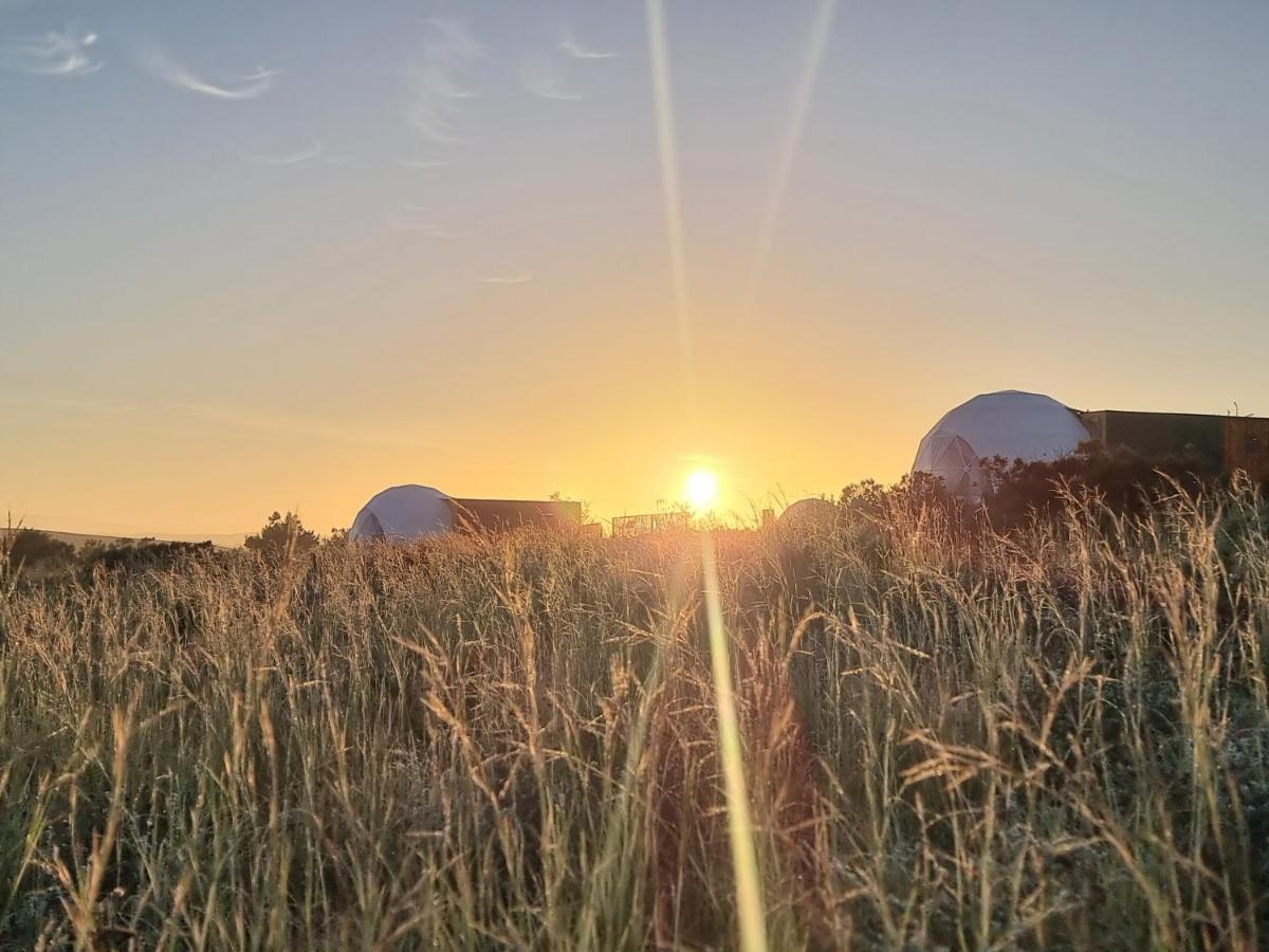 فندق Pom Gratz - Ecodomes Hartebeesrivier المظهر الخارجي الصورة